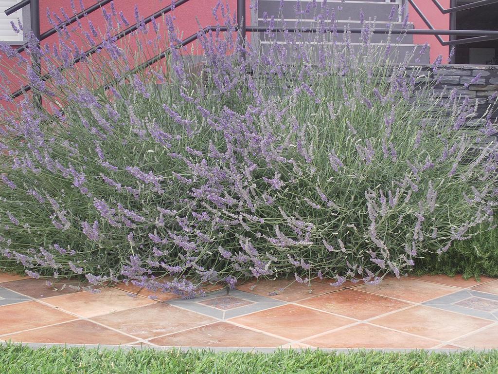 Apartma Sobe Pulec 多布罗沃 客房 照片