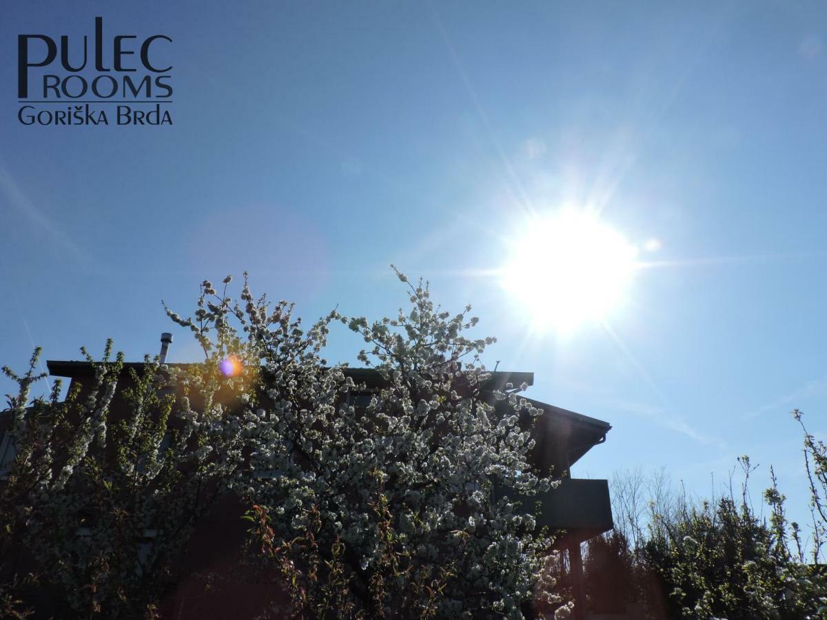 Apartma Sobe Pulec 多布罗沃 外观 照片